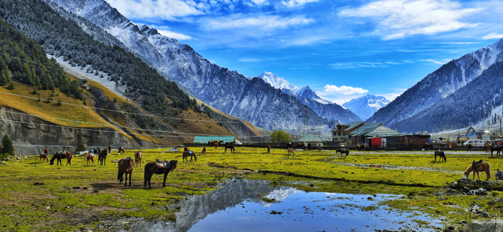 Kashmir