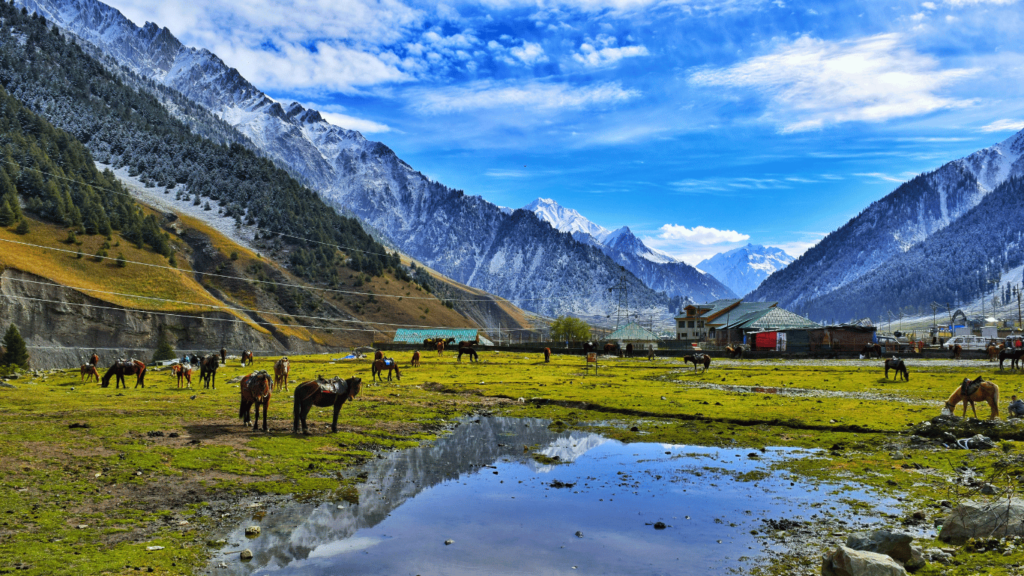 kashmir